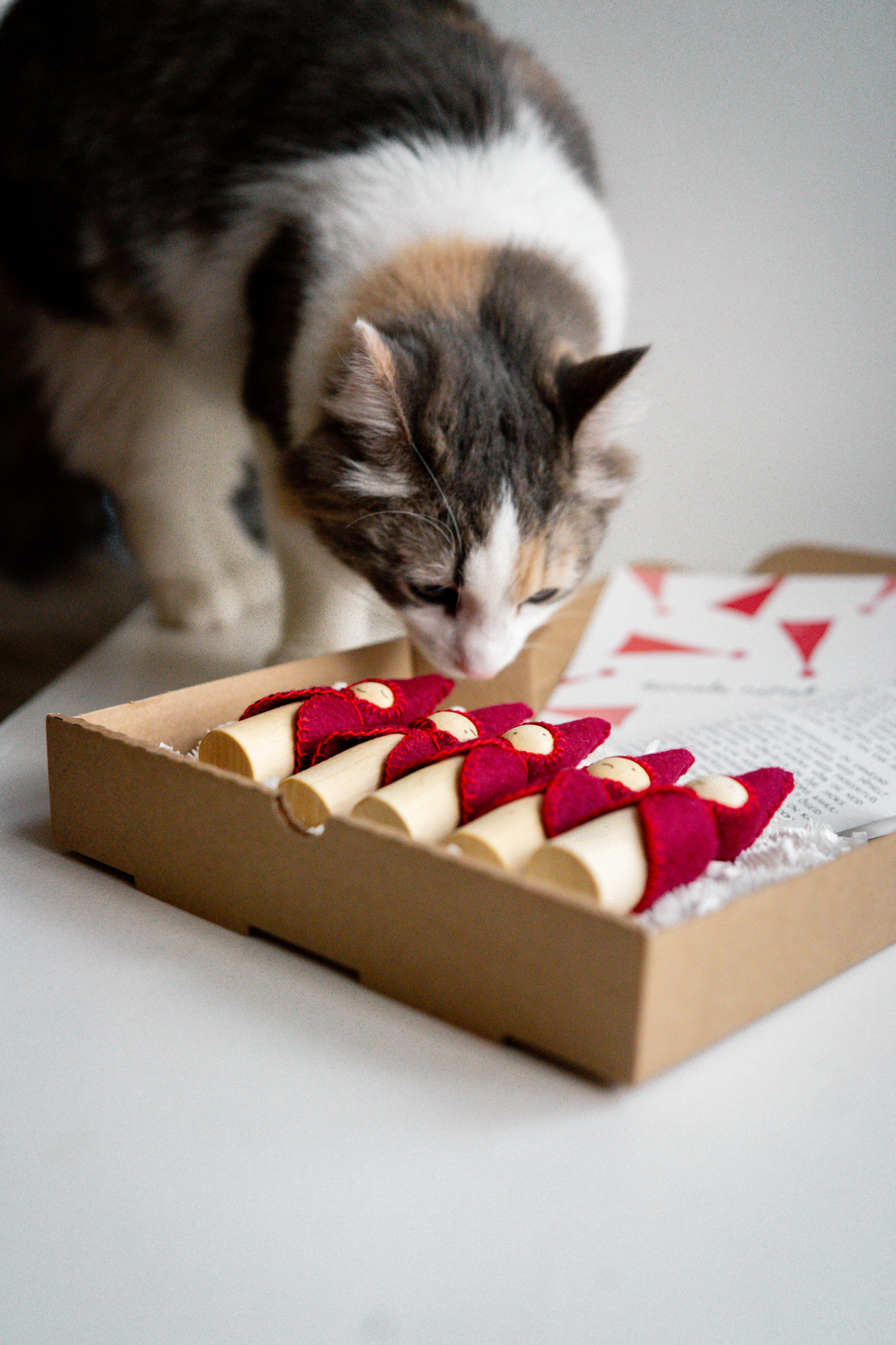 tundepäkapikud - Image 5