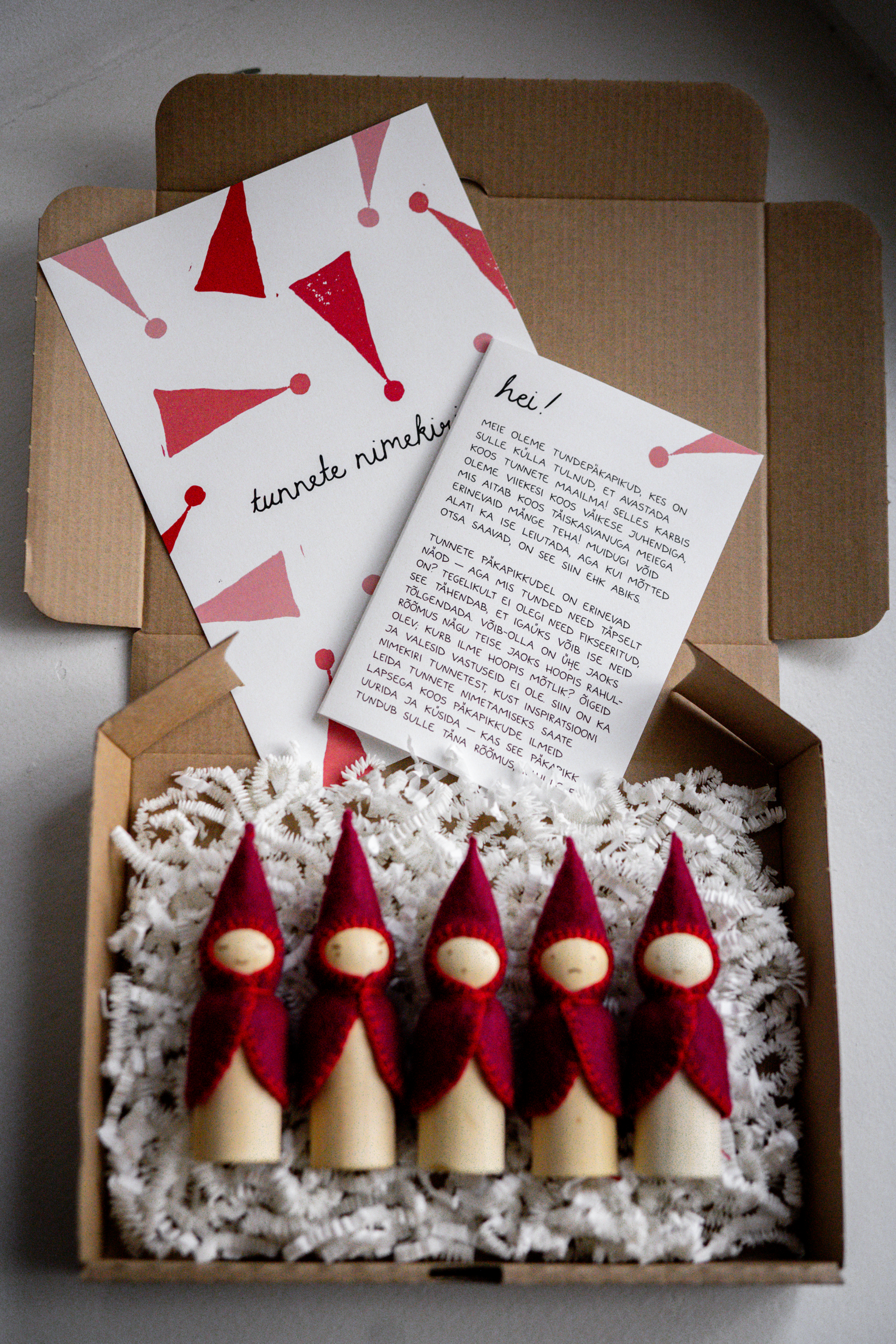 tundepäkapikud - Image 4